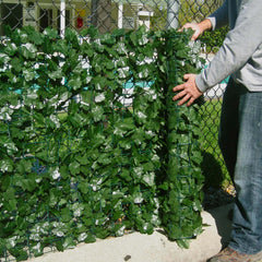 Artificial Privacy Ivy Roll