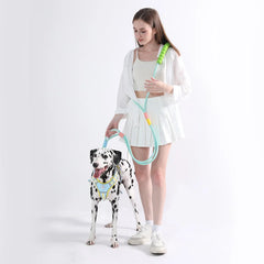 Versatile Pet Leash with Comfortable Foam Handle