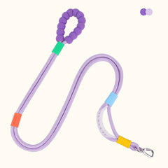 Versatile Pet Leash with Comfortable Foam Handle